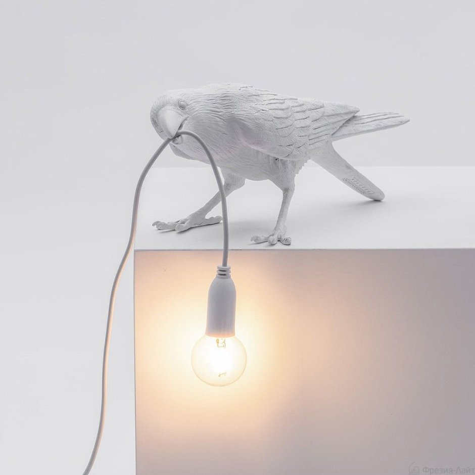 Бра Moooi Perch Light Wall mp30025