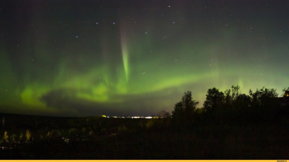 Современные обои для стен