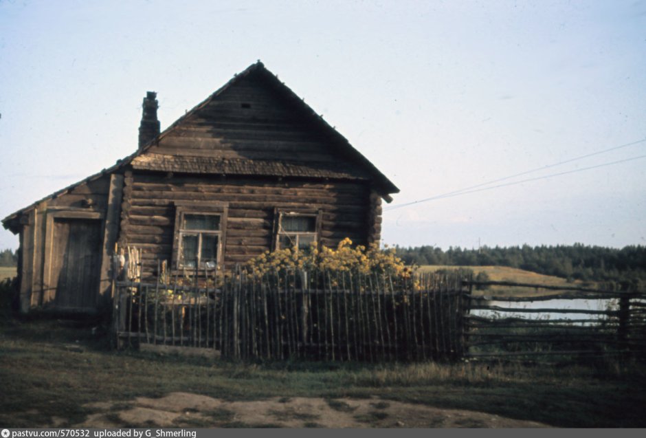 Деревня Нелюшка Новгородской области