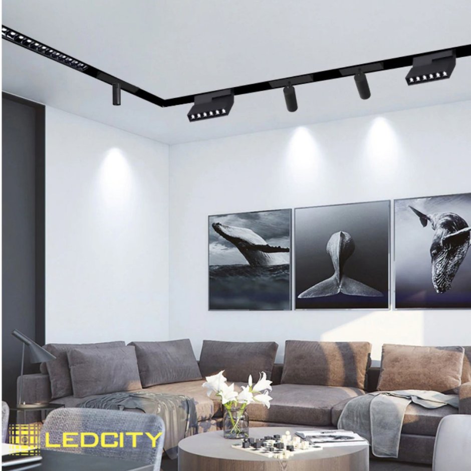 Магнетик светильники трековые стил