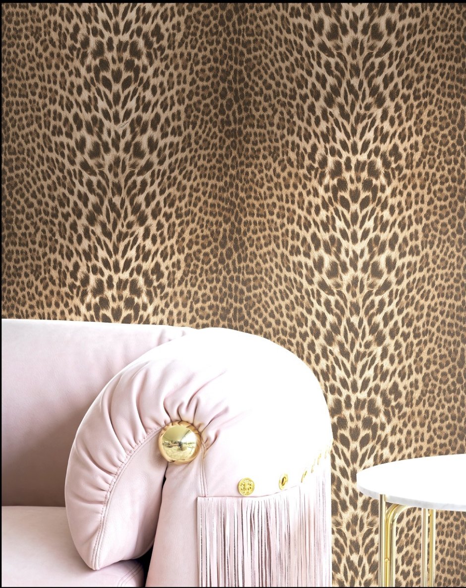 Обои Roberto Cavalli rc17008