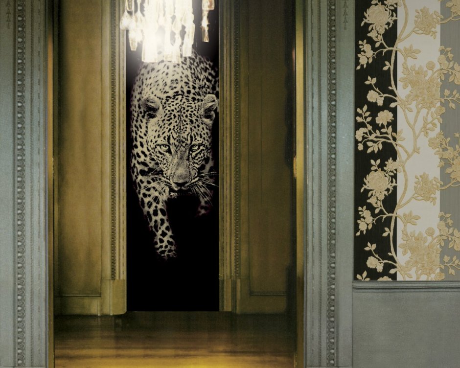 Обои Roberto Cavalli rc17035