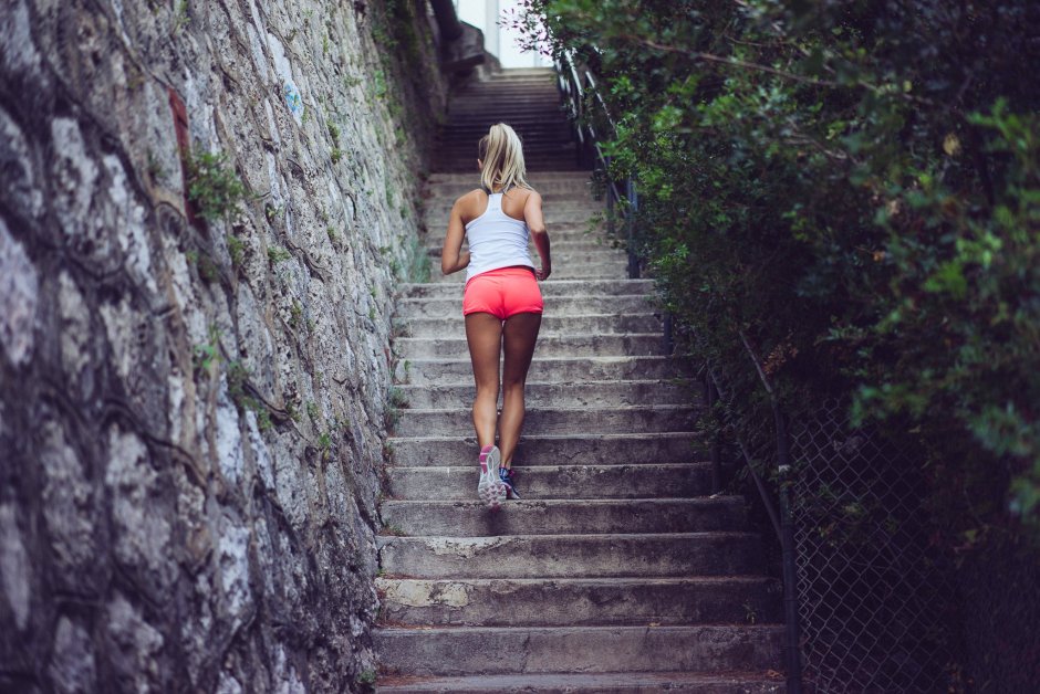 Подвесная лестница