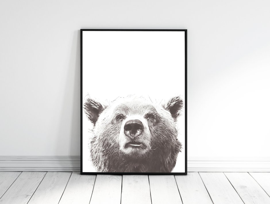 Постер медведь