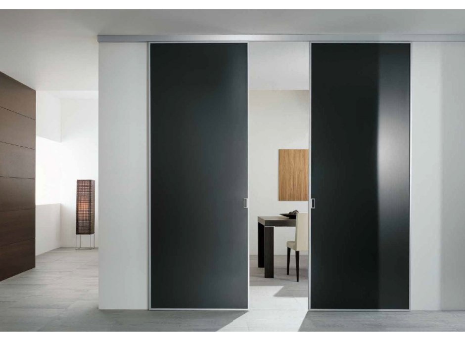Раздвижные двери в интерьере