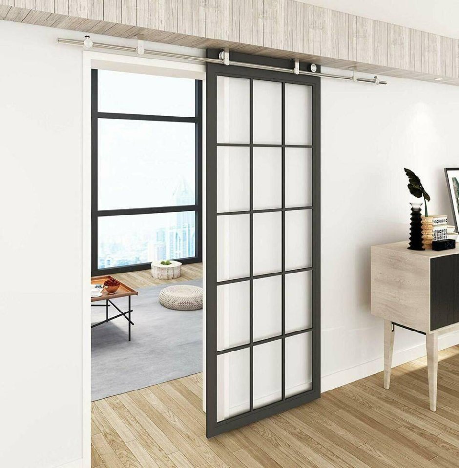 Раздвижные двери в потолок