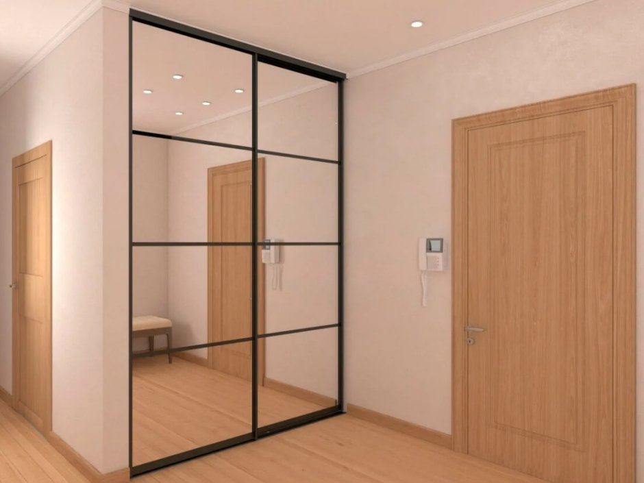 Шкаф купе 2 двери зерка