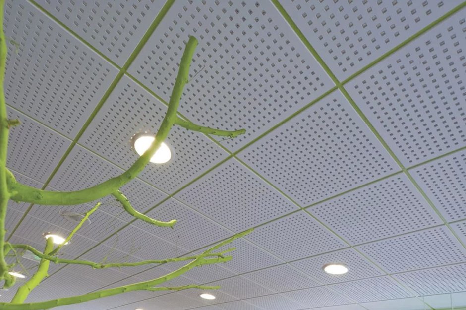 Зеленый Армстронг