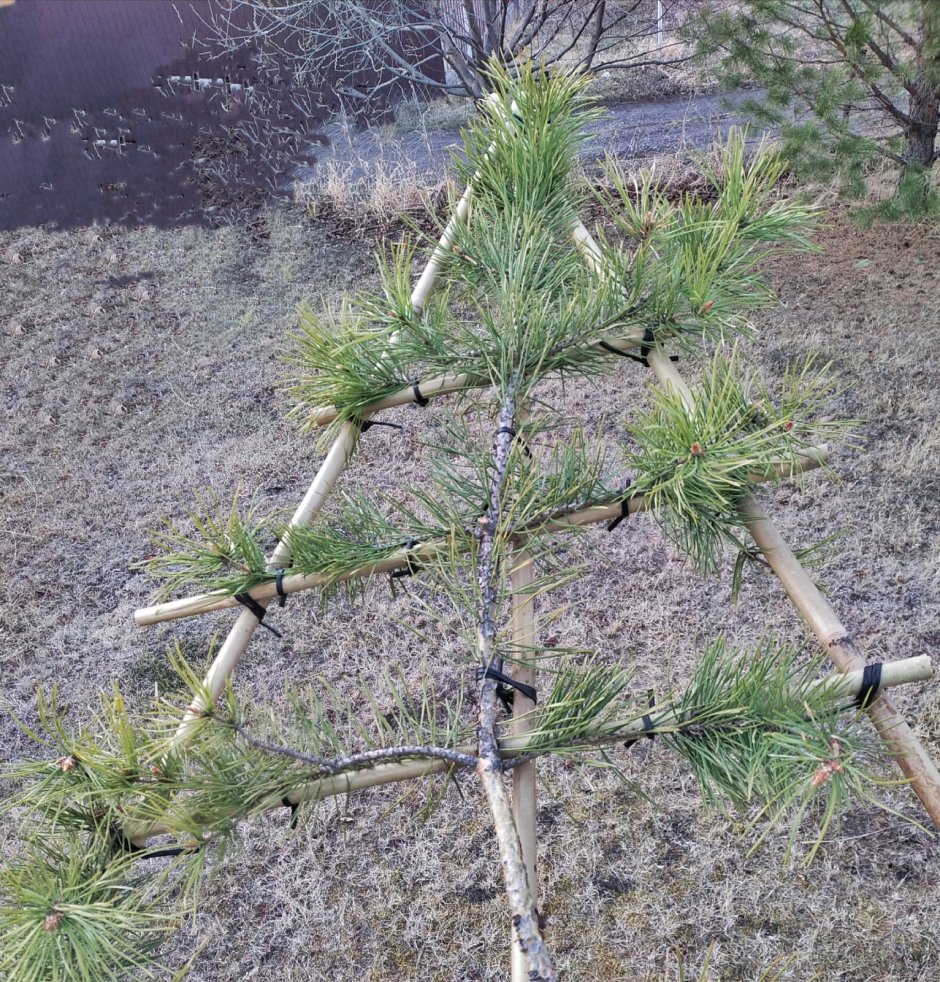 Федор Жуков ниваки