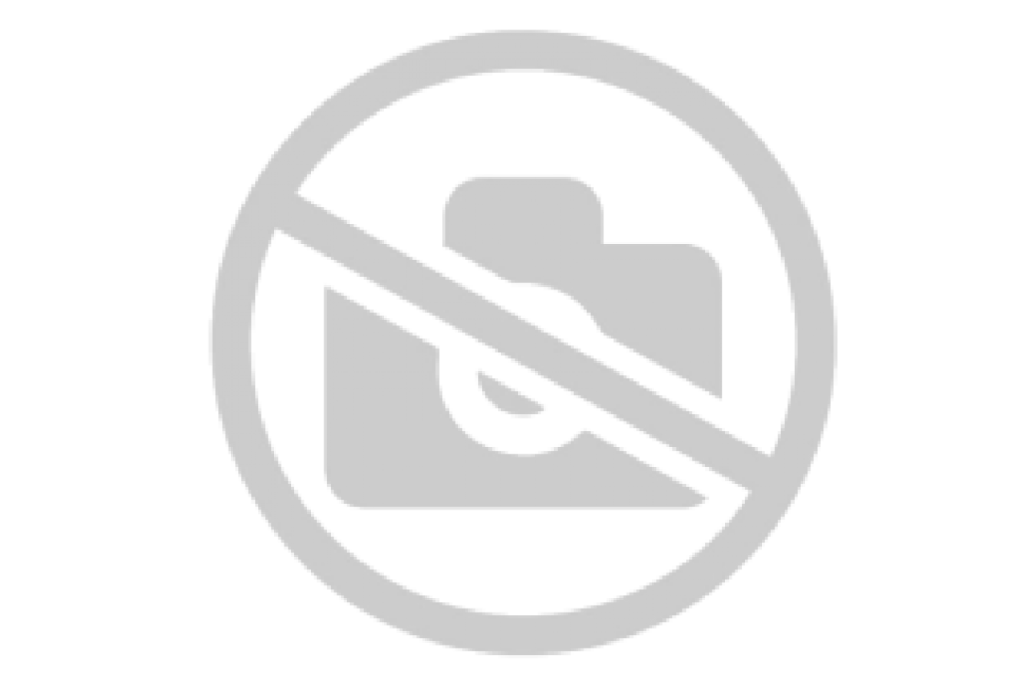 Дочка президента