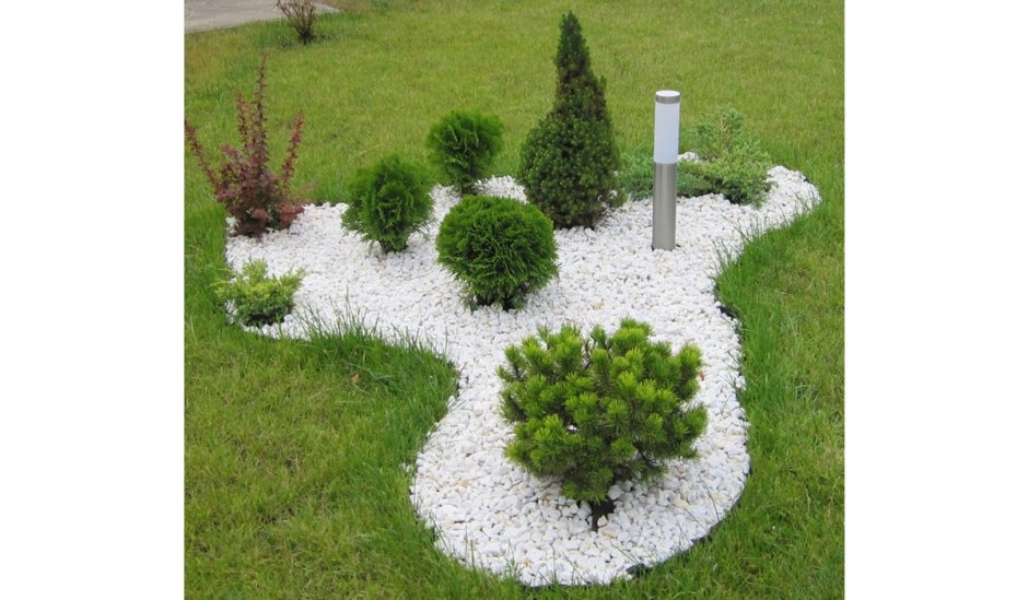 Туя шаровидная Даника с отсыпкой мраморной крошкой