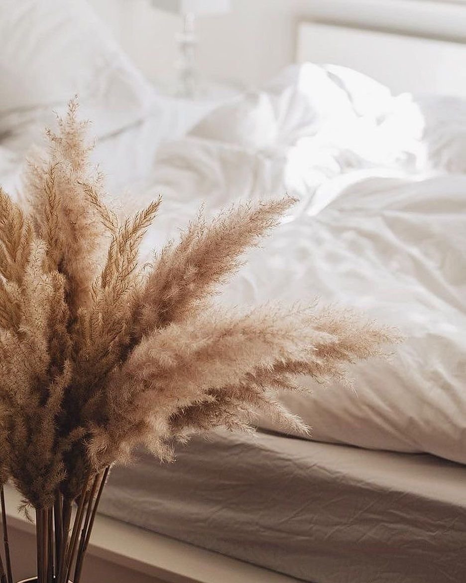 Пампасная трава