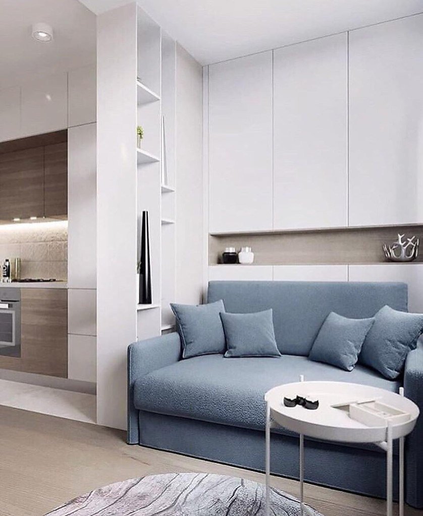 Кухня гостиная с диваном