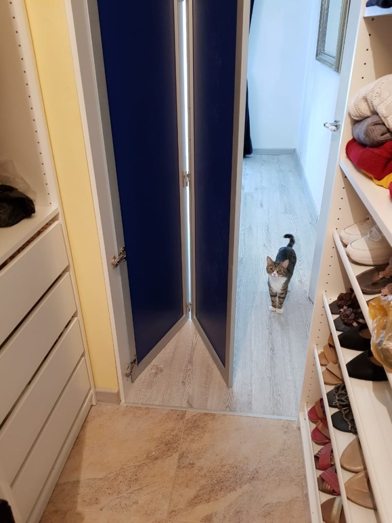 Дверь в кладовку