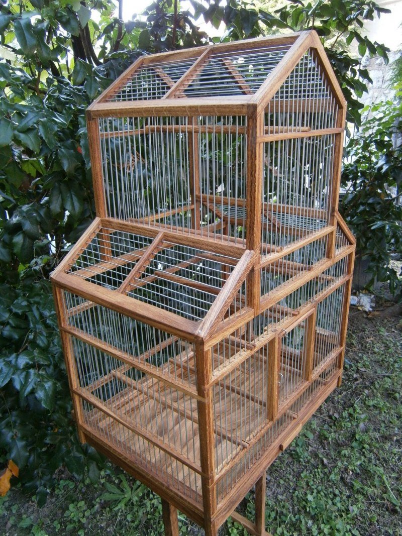 Птица в клетке