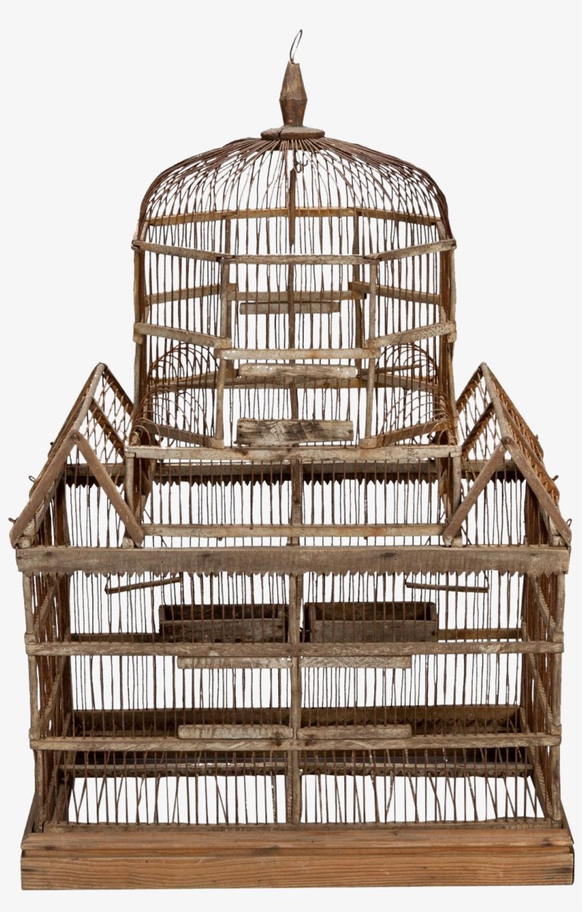 Клетка Даррелл