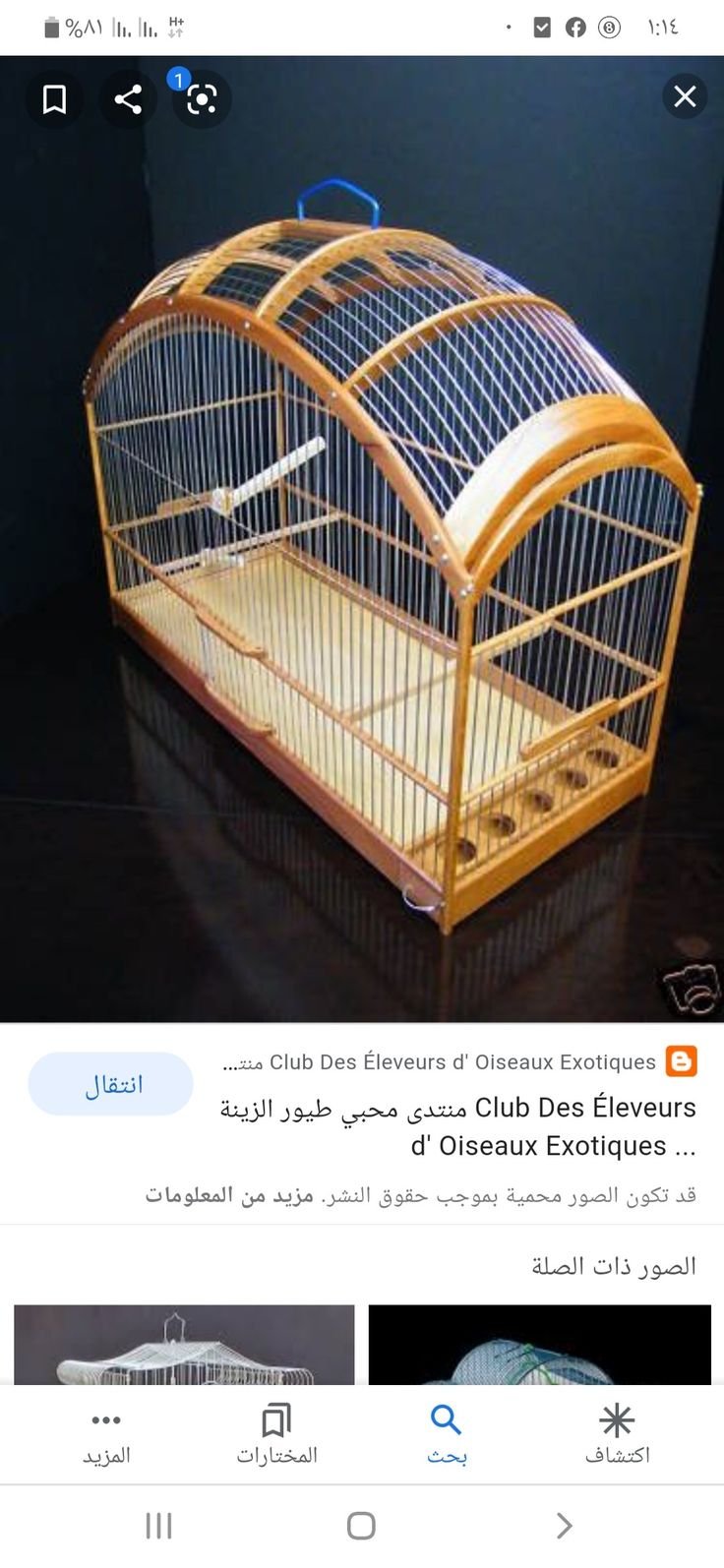 Необычные клетки для канарейки