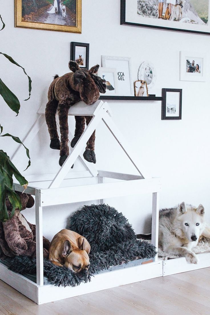 Дизайнерский домик для собаки в квартире