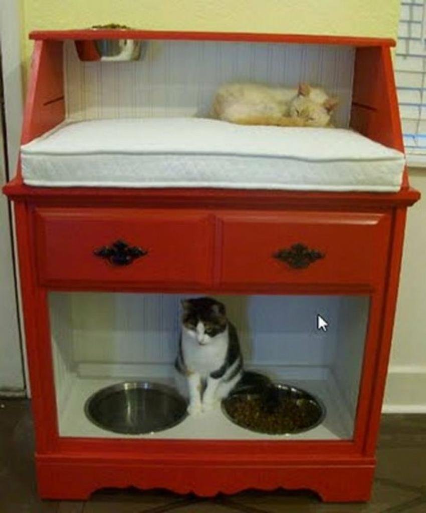 Место для кошки в квартире