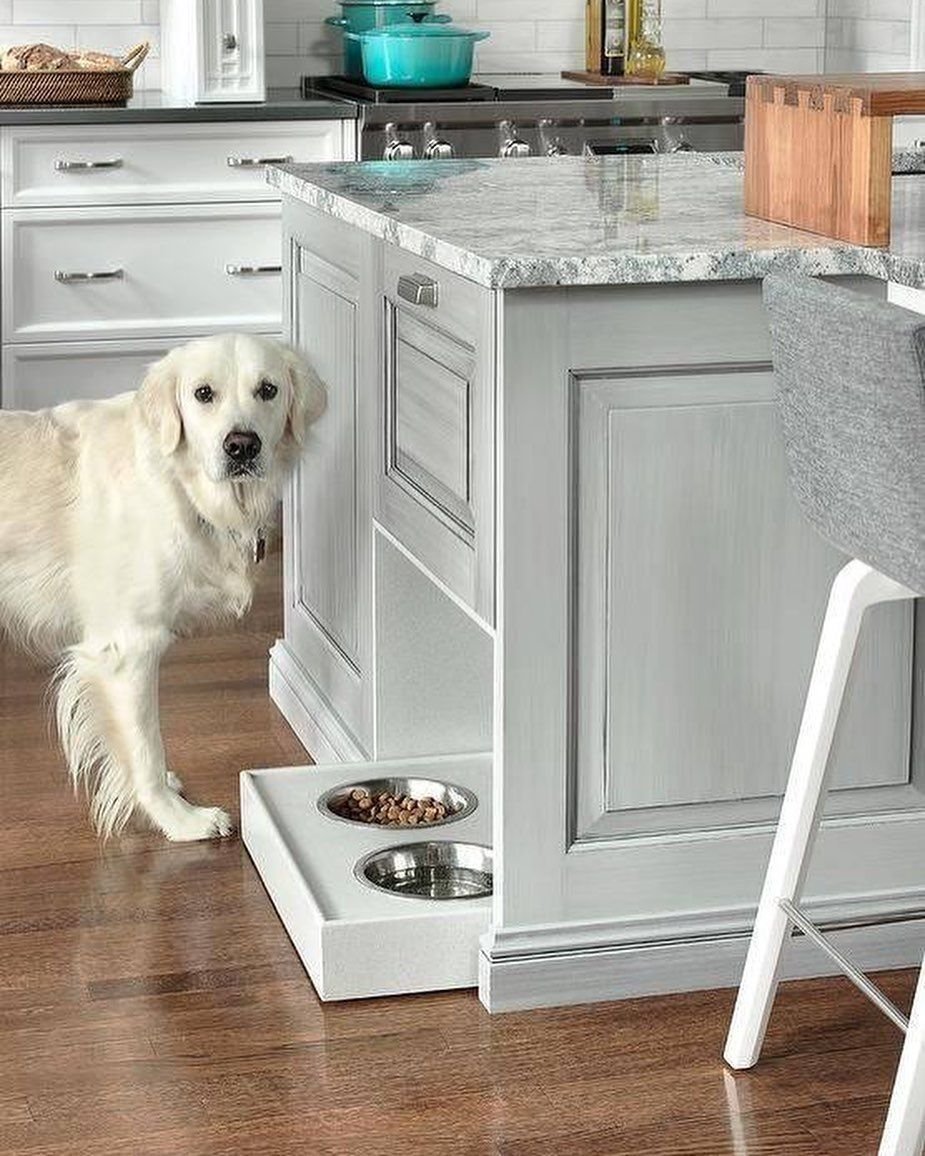 Собачьи миски встроенные в кухонную мебель