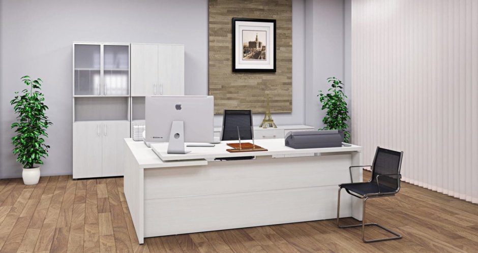 Вяз благородный Ялта