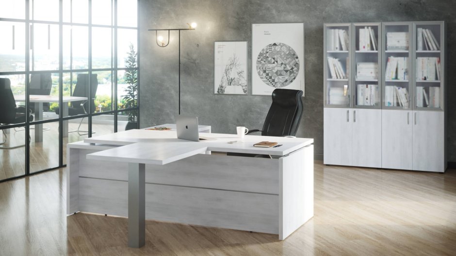 Кабинет руководителя Аполлоний белый