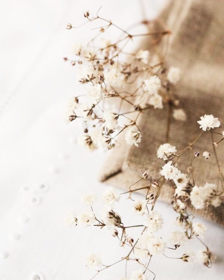 Гипсофила мудборд