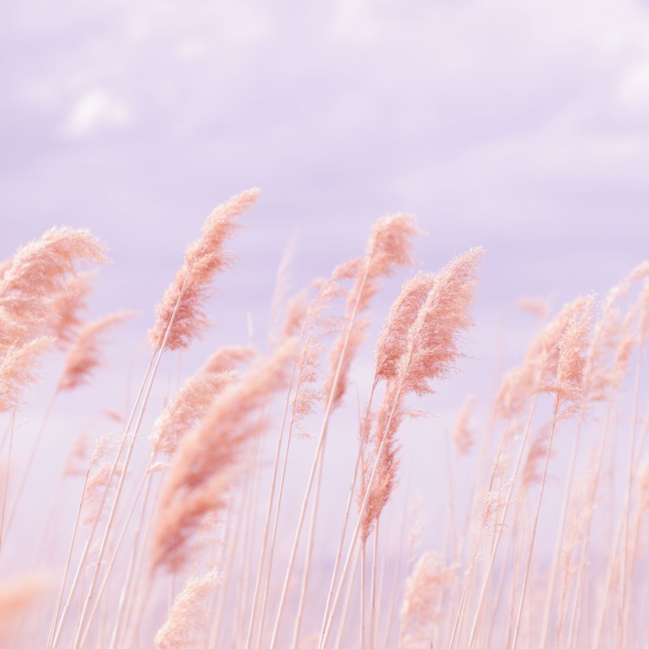 Пастельные тона