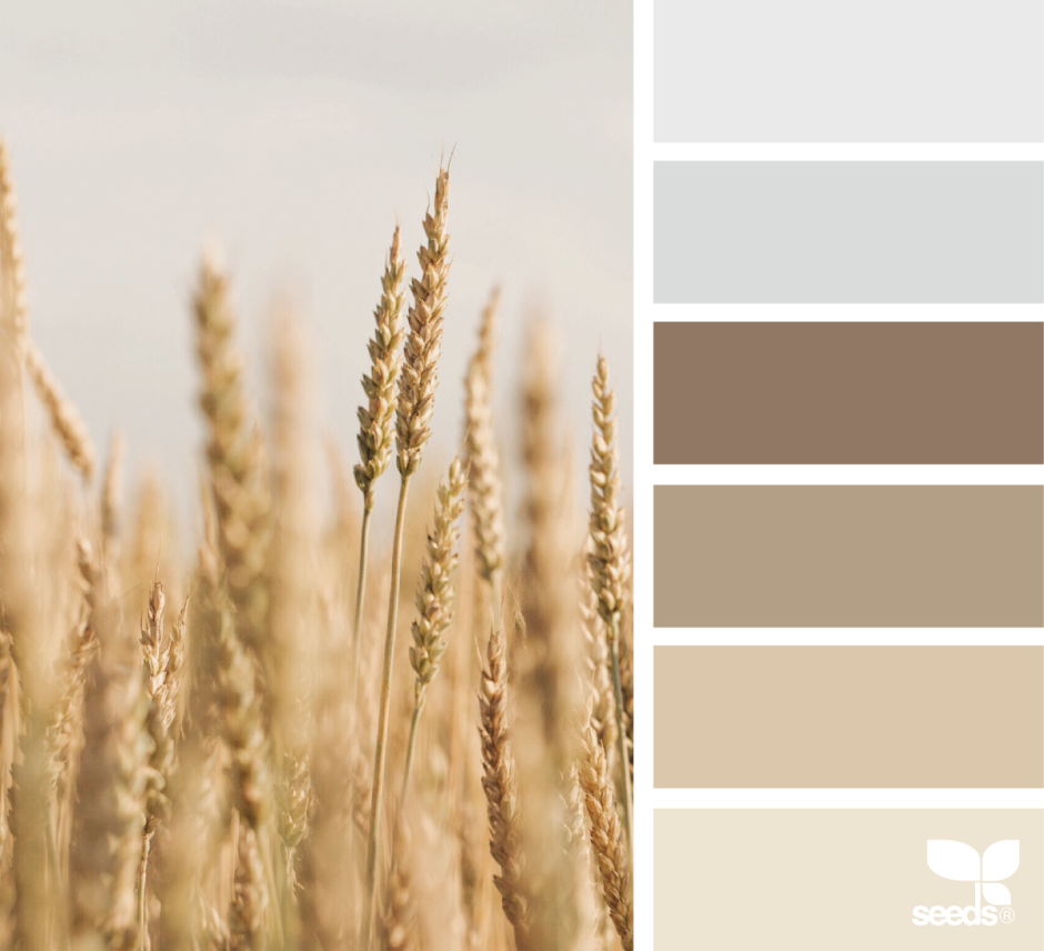 Цветовые сочетания палитра Сидс