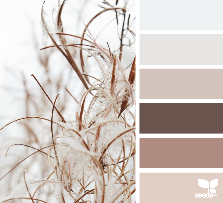 Цветовая палитра бежевый