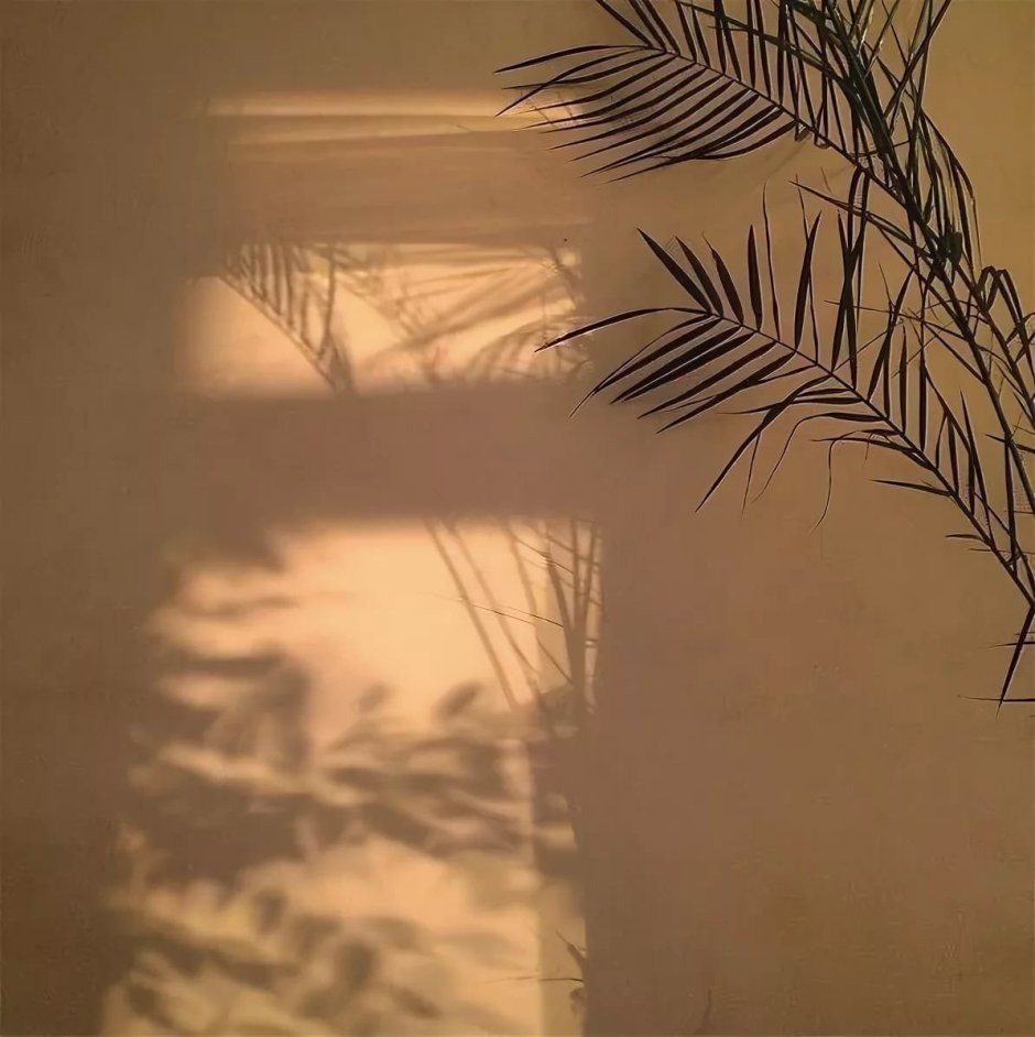 Красивая тень на стене