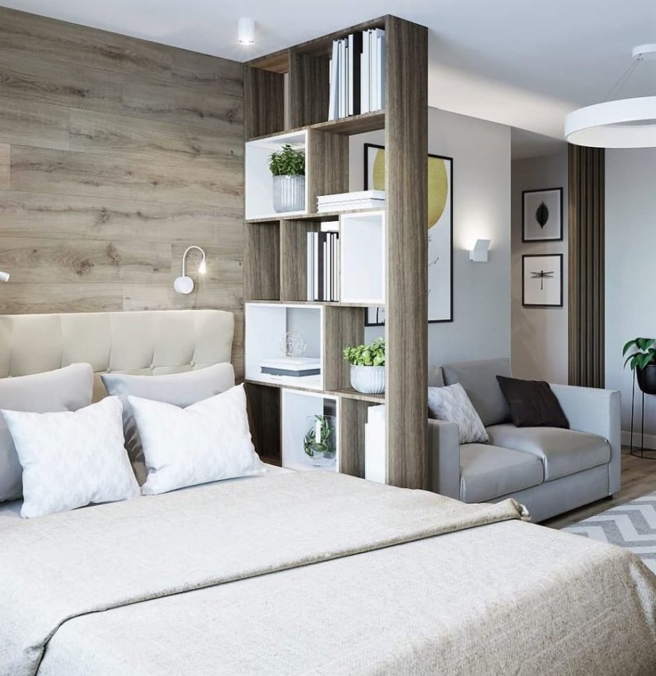 Спальня-гостиная с перегородкой