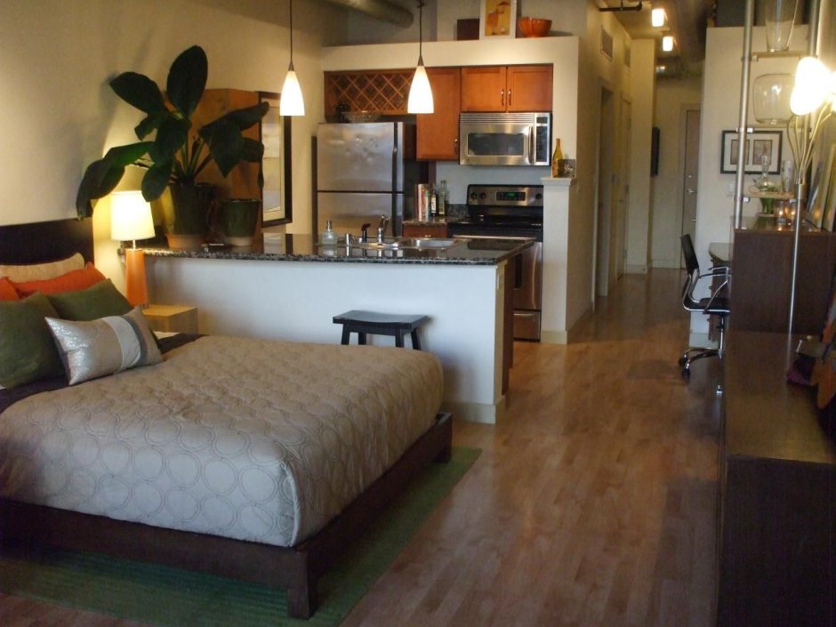 Кухня спальня