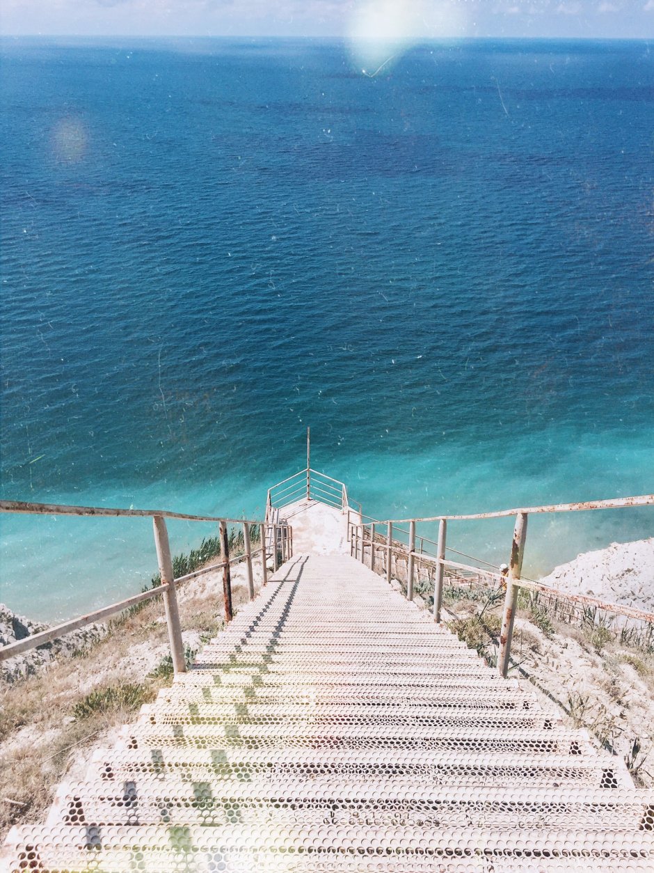 Современное образование карикатура