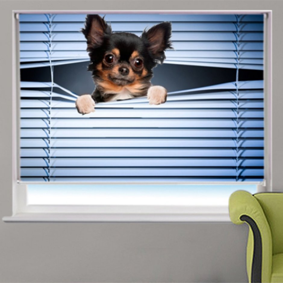 Жалюзи солнце