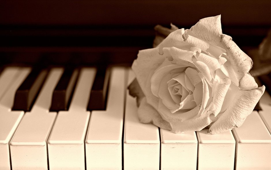 Фортепьяно и розы