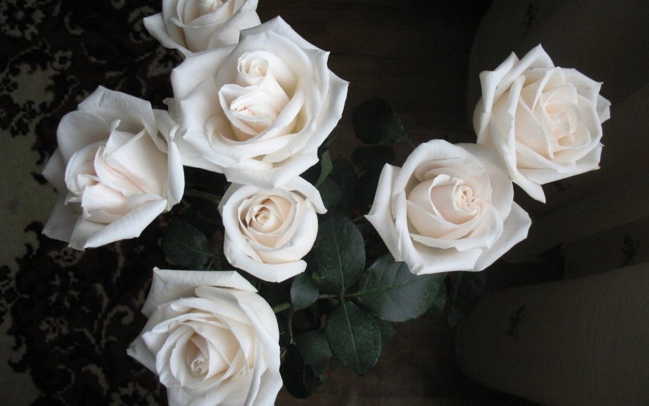 Букет белых роз на черном фоне