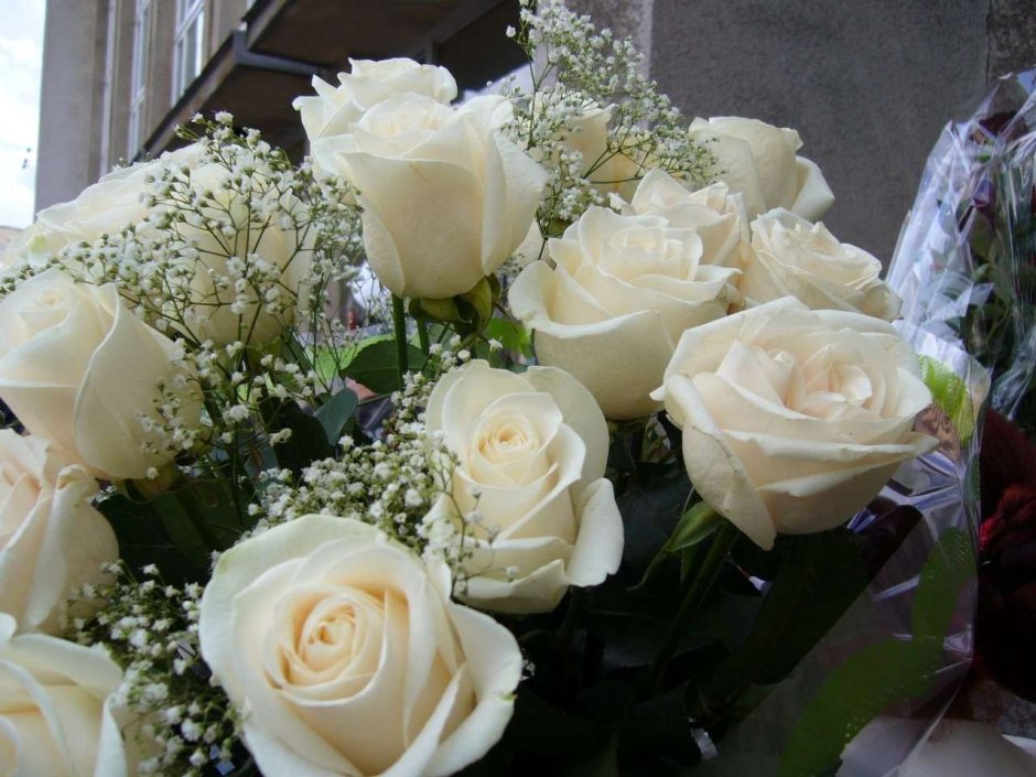 Цветы белые розы красивые букеты