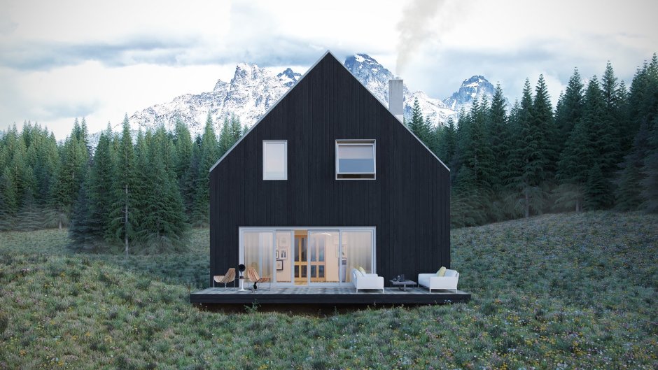 Дом в скандинавском стиле одноэтажный с террасой