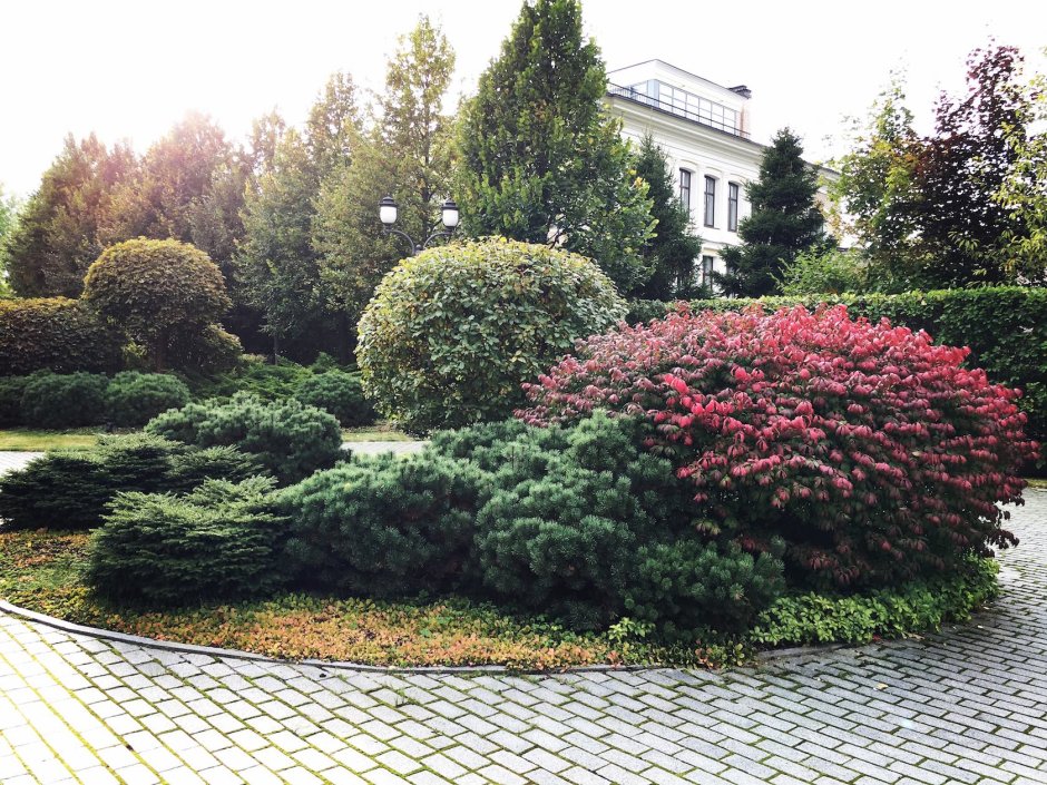 Владимир Колесников ландшафтный Архитектор