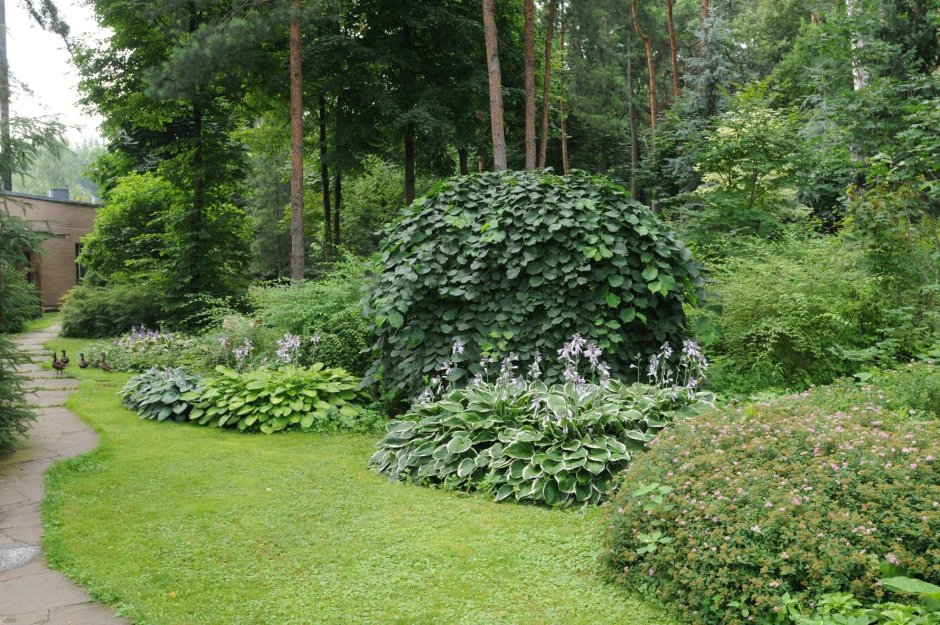 Колесников ландшафтный дизайнер