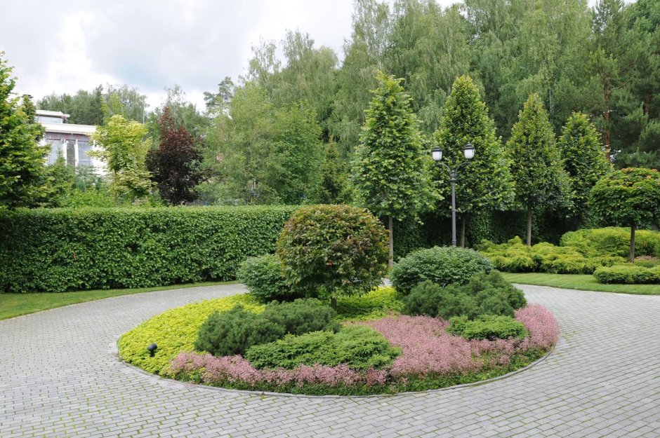 Владимир Колесник ландшафтный