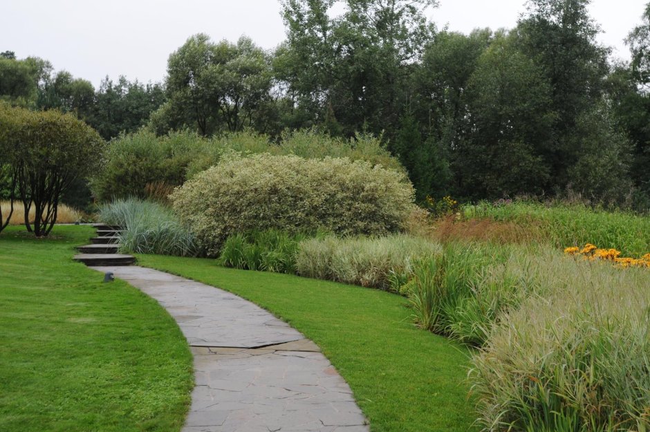 Теневые сады Колесника