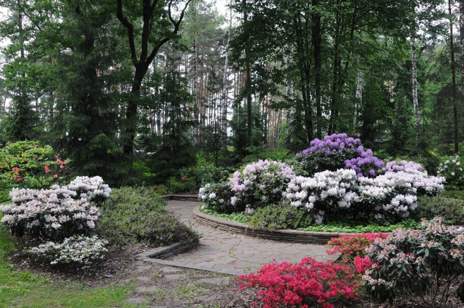 Сад Владимира Колесника