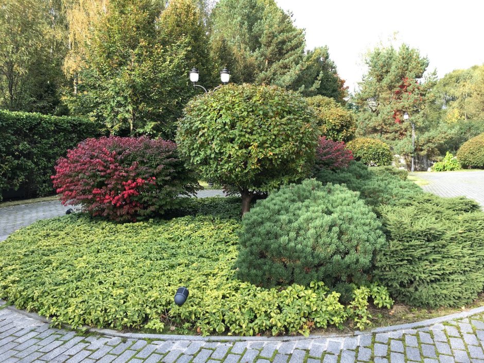 Владимир Колесников ландшафтный Архитектор