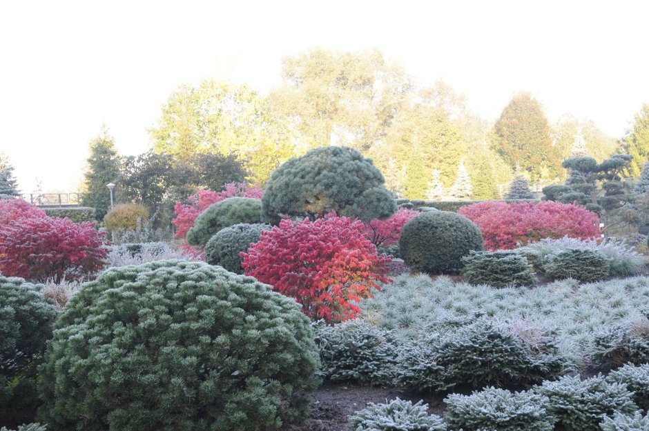 Владимир Колесников ландшафтный Архитектор