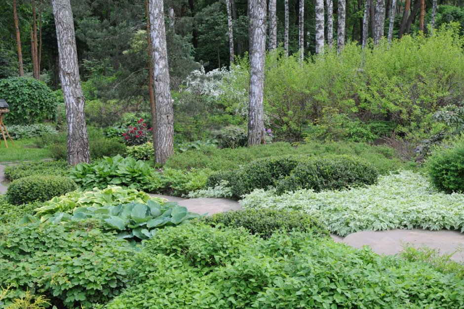 Владимир Колесников ландшафтный Архитектор