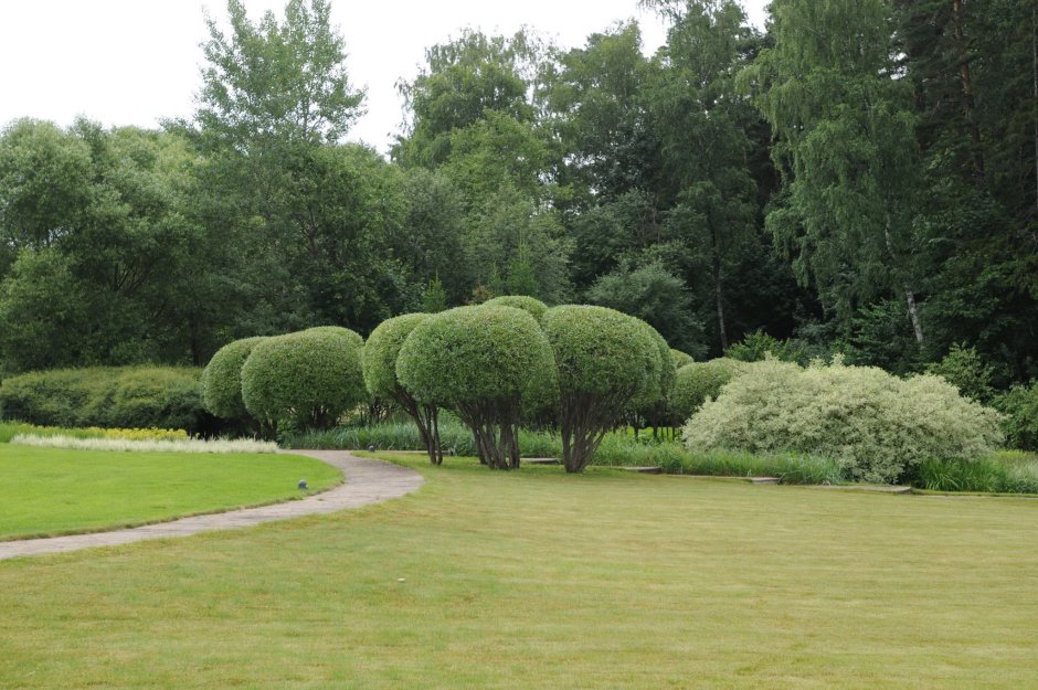 Владимир колесник ландшафтный дизайнер