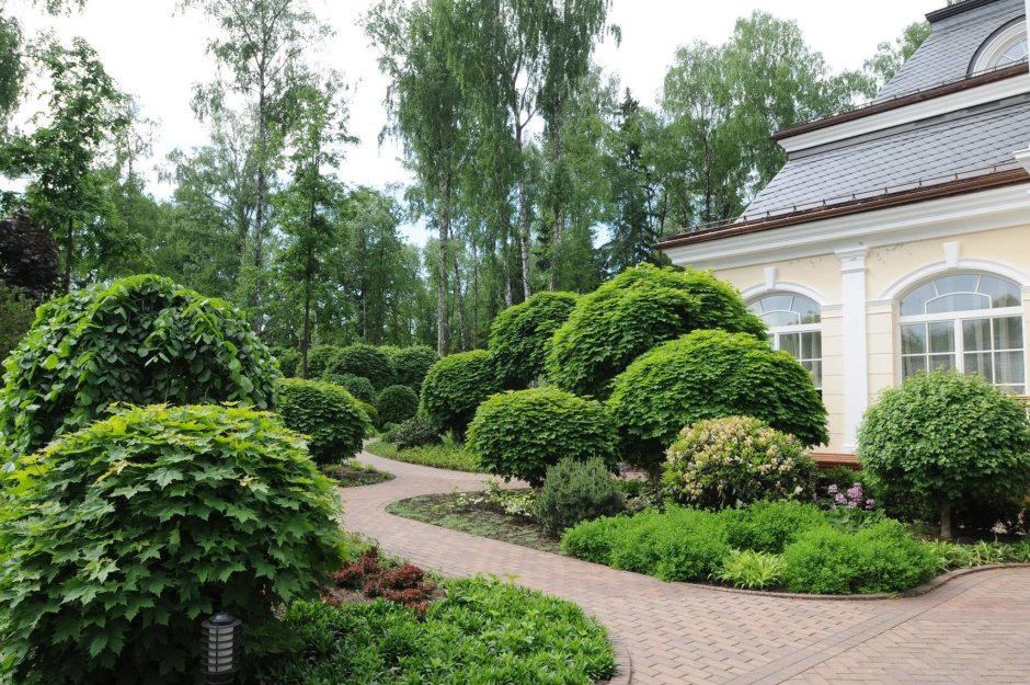 Владимир Колесник ландшафтный дизайнер