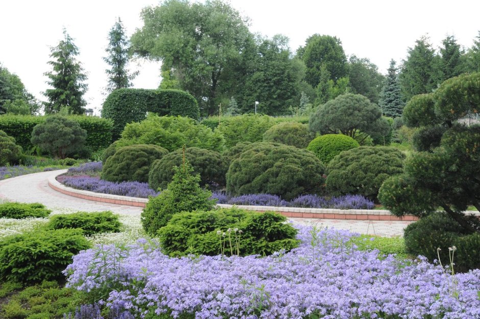 Сад Владимира Колесника